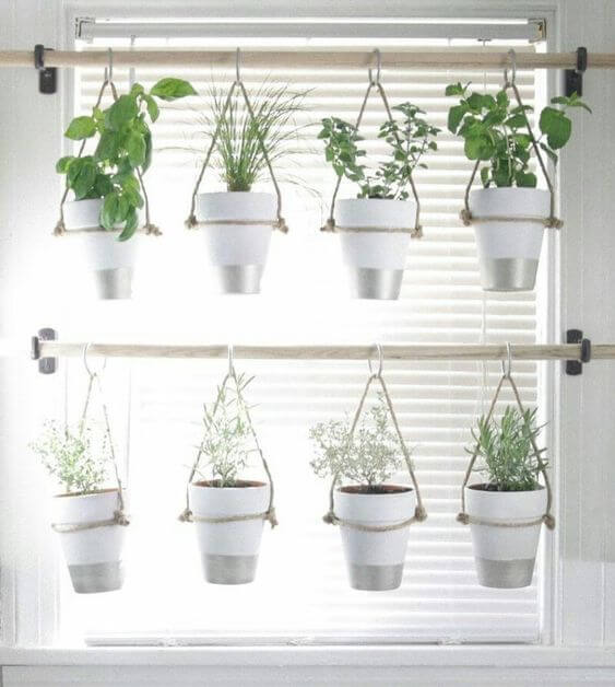 Decorar la cocina con plantas