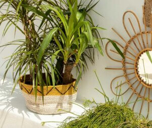 Cestas trenzadas: lo artesano no pasa de moda