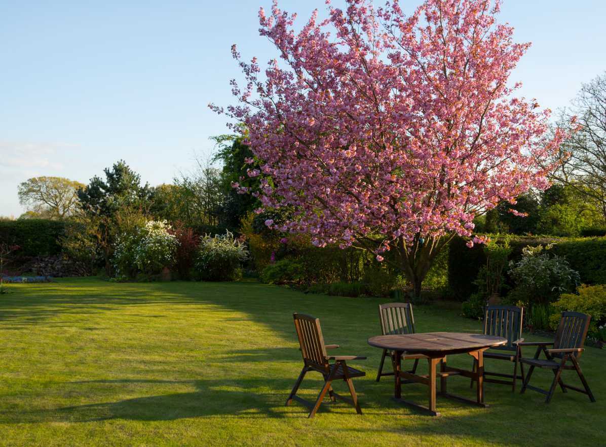 Color verde y la madera