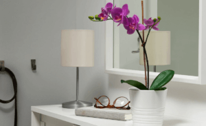 Las plantas artificiales tienen mucho que aportar en la decoración de tu casa