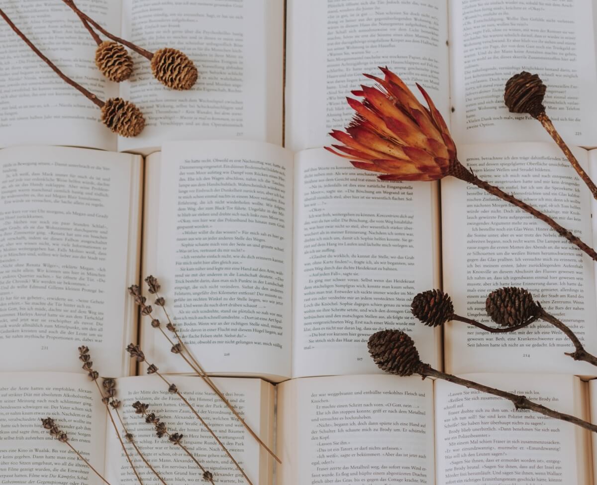Droog bloemen in een boek