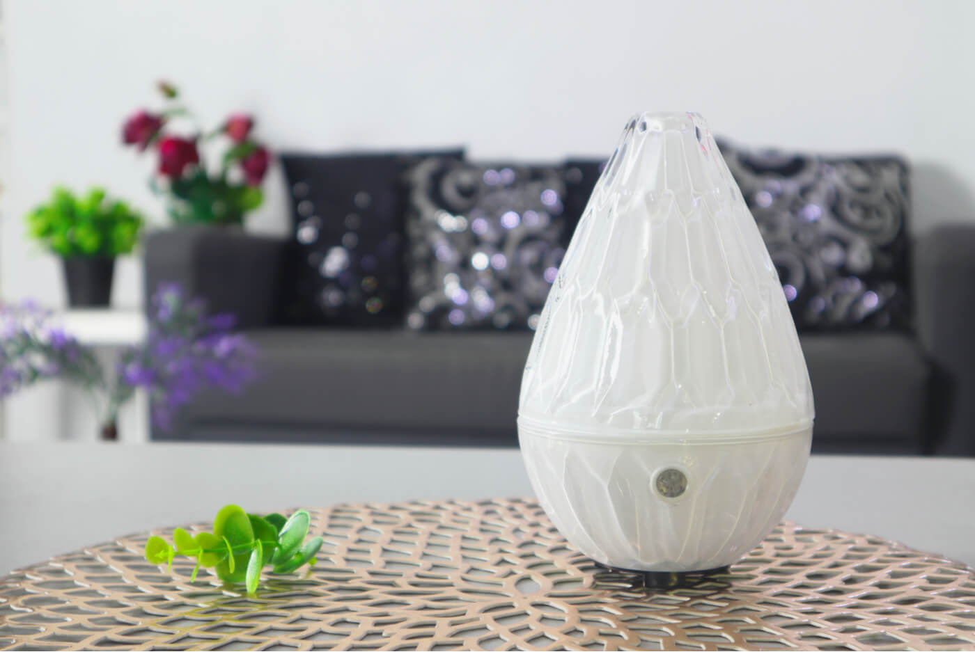 Estas son las diferencias entre un humidificador y un brumizador