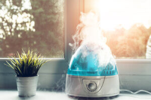 Estas son las diferencias entre un humidificador y un brumizador