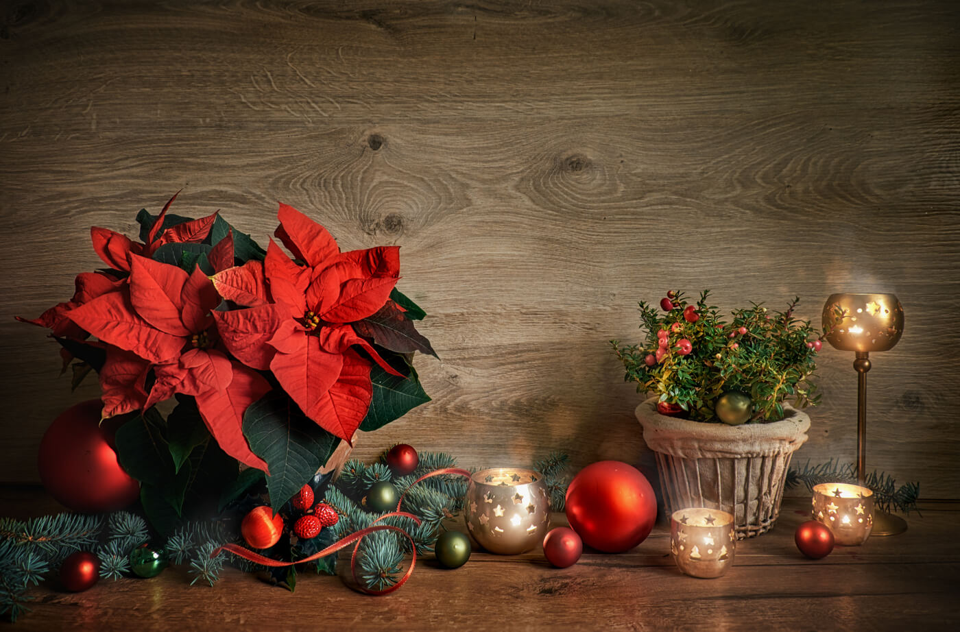 5 ideas deco que puedes hacer con la flor de pascua
