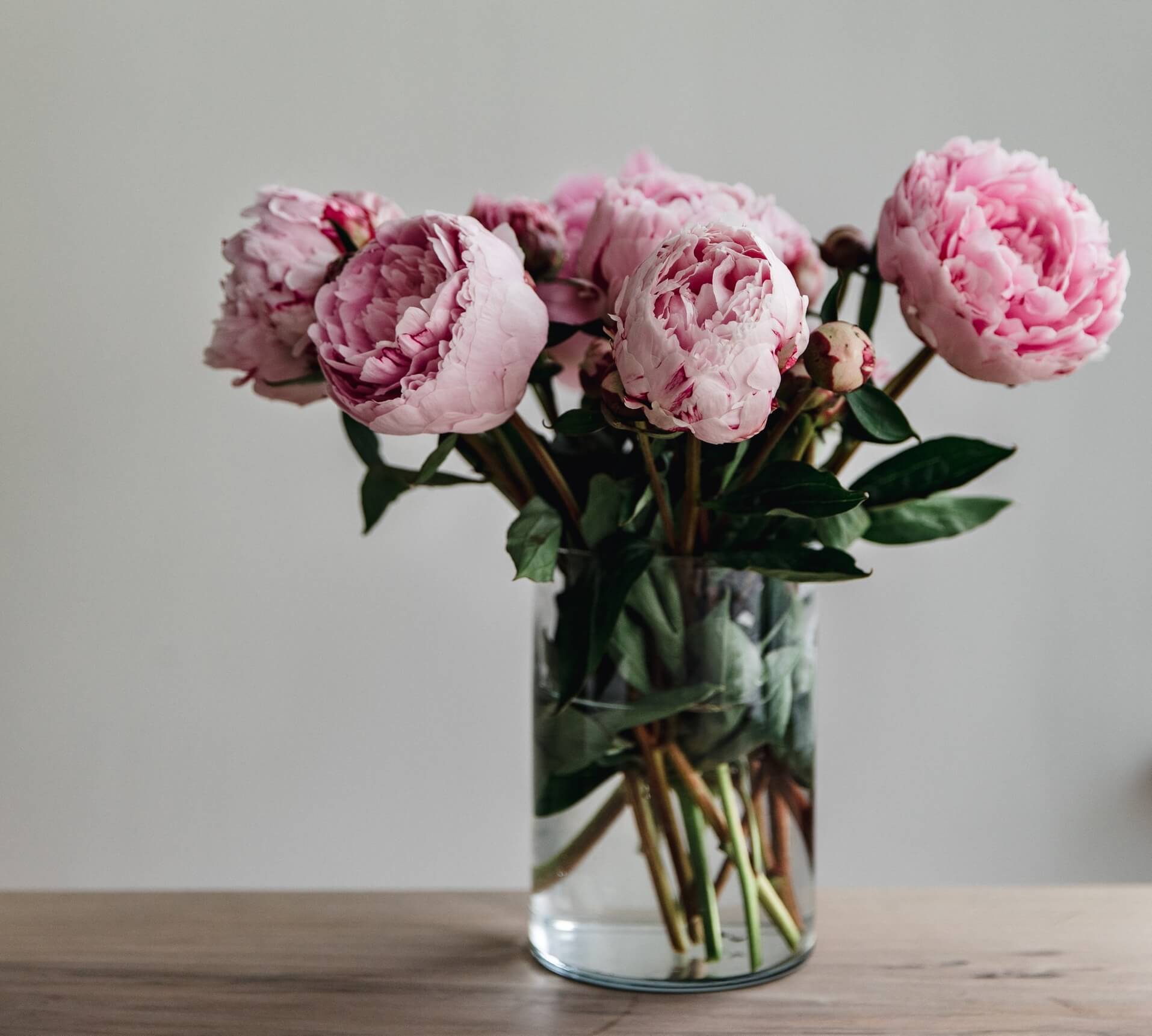 Por qué decorar con plantas y flores de colores: peonías