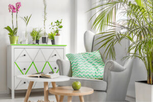 Claves para decorar con plantas y flores de colores