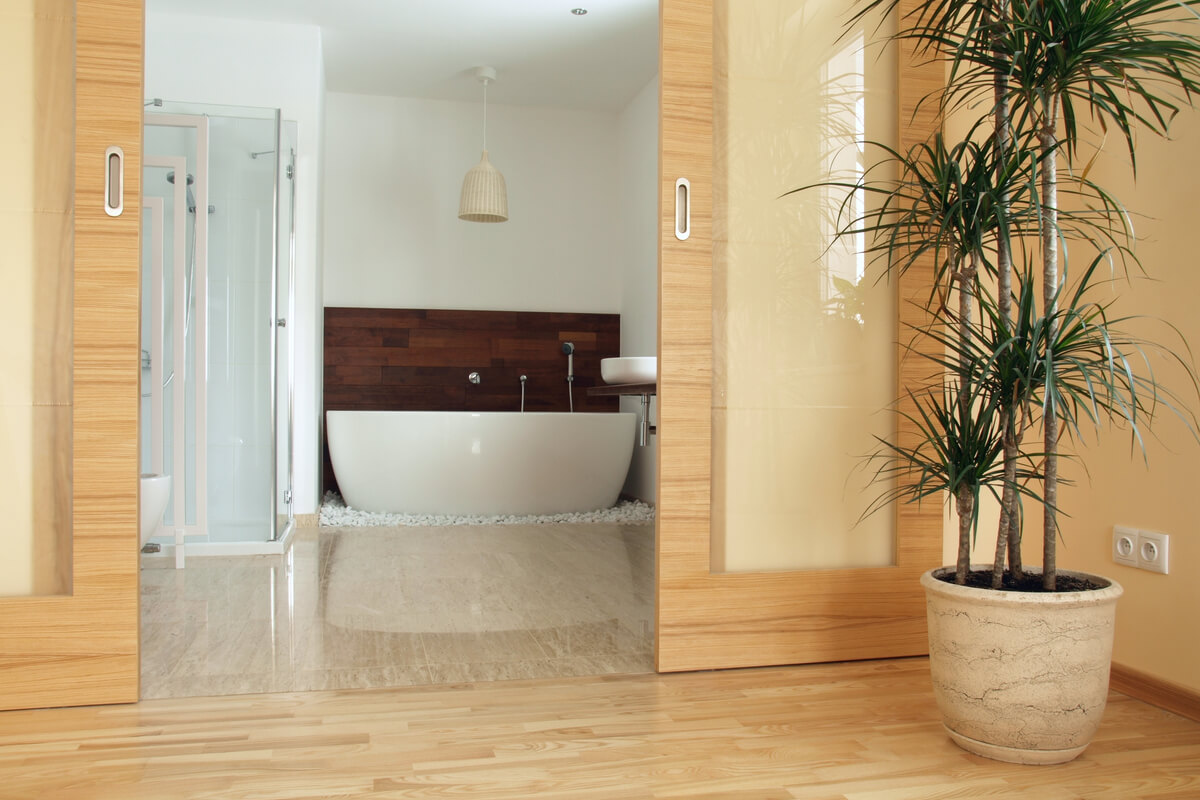 ¿Conoces la drácena? Una planta todoterreno para tener en casa