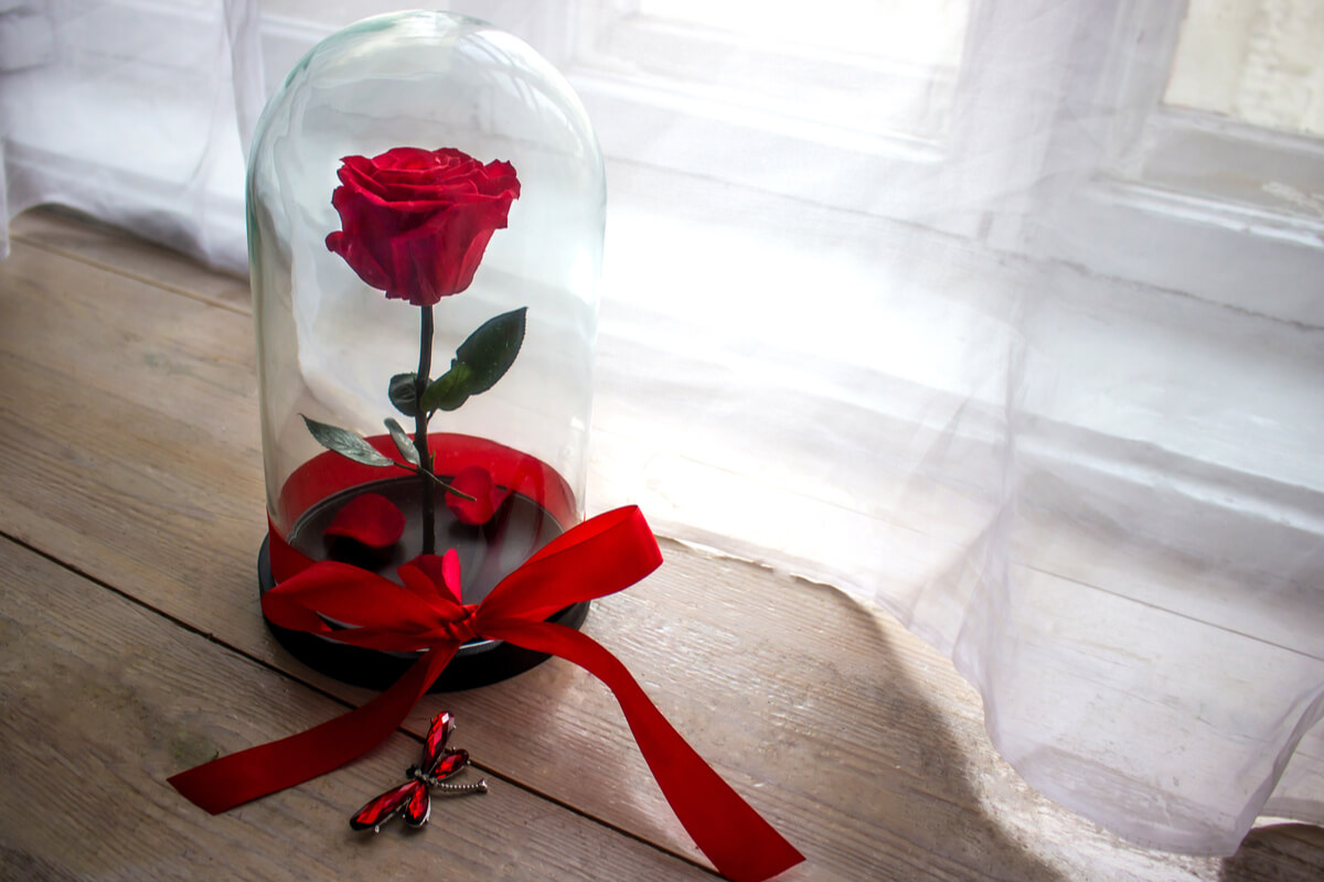 We tell you how to decorate with preserved flowers