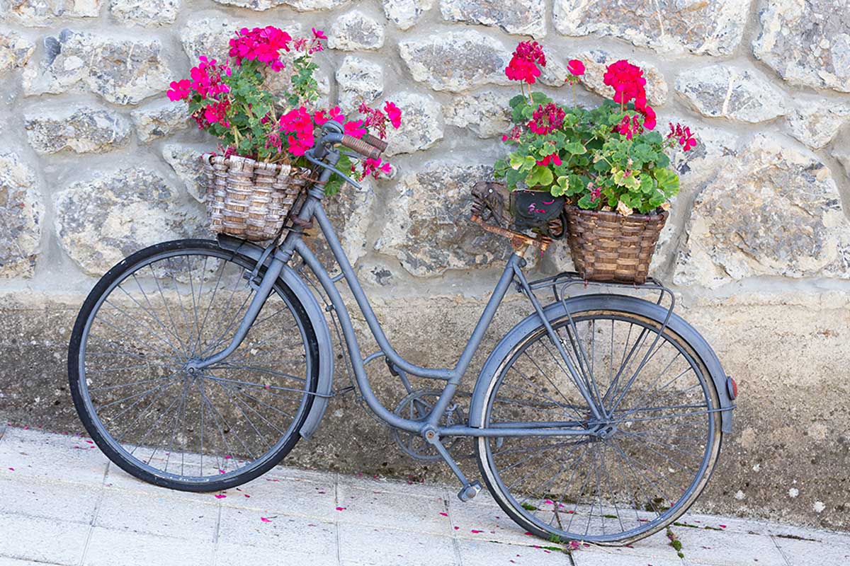 Give your old bike a new use.