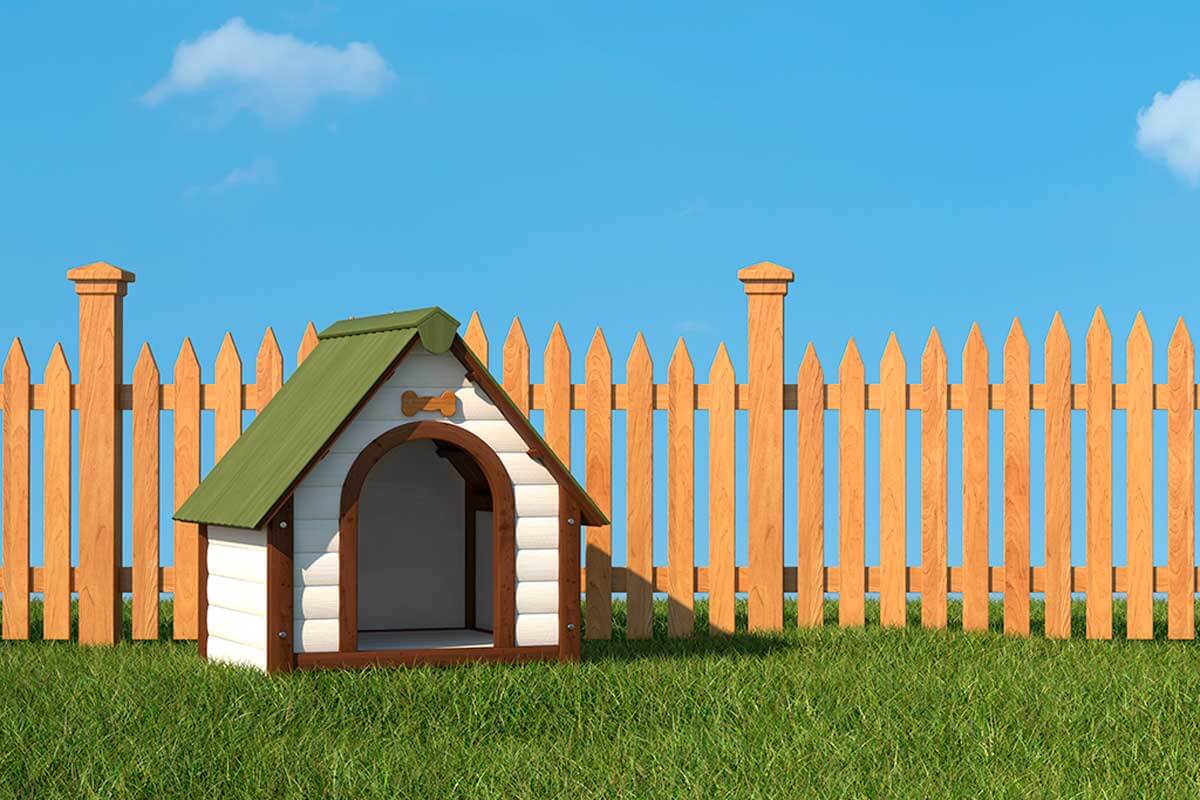 Customize your pet's space.