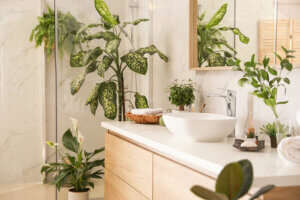 Conoce las mejores plantas para el baño