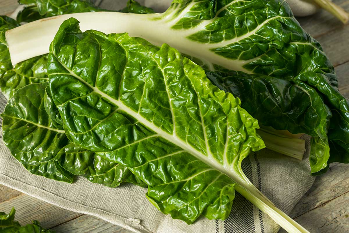 Grow garden plants at home like Swiss chard.