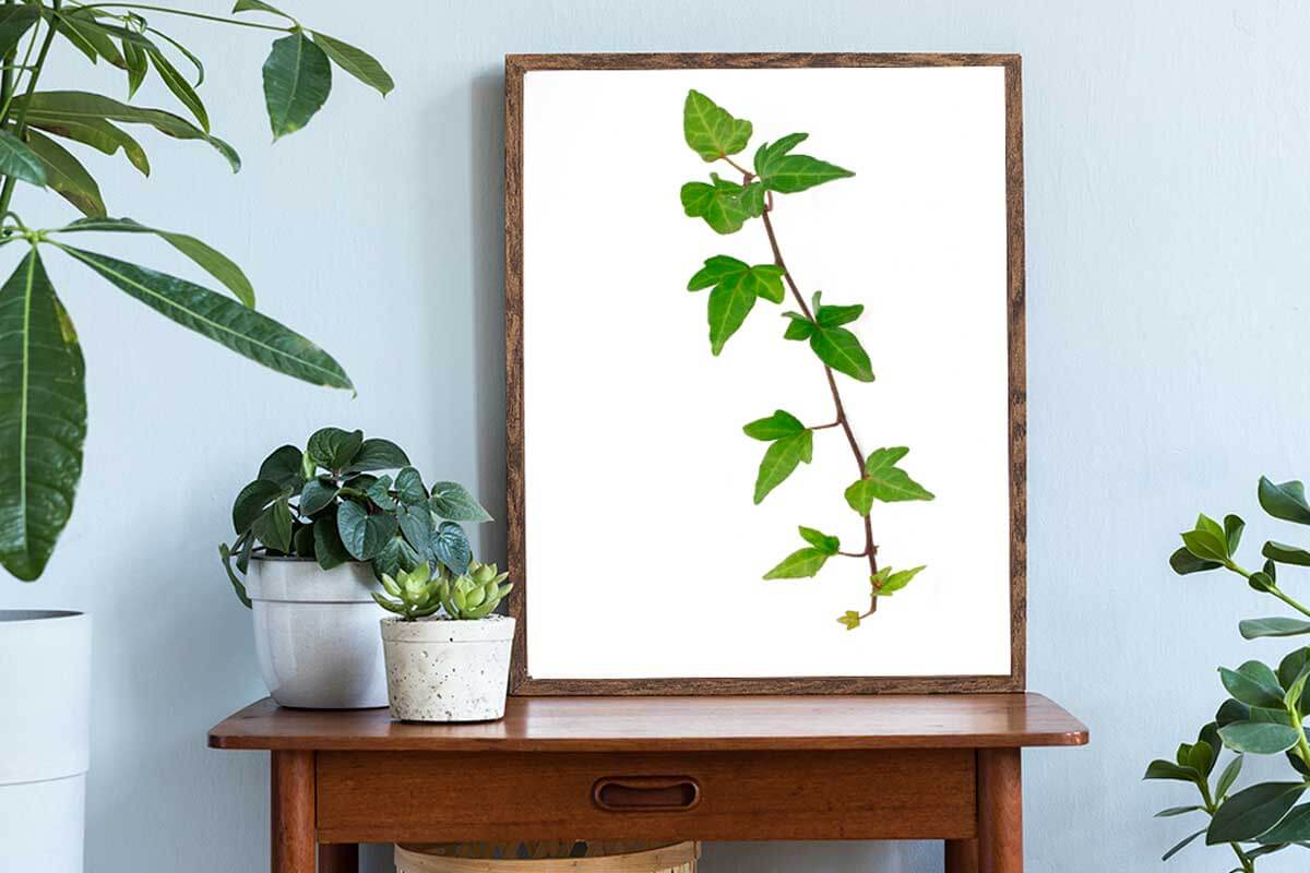 Crea tus propios marcos decorativos.