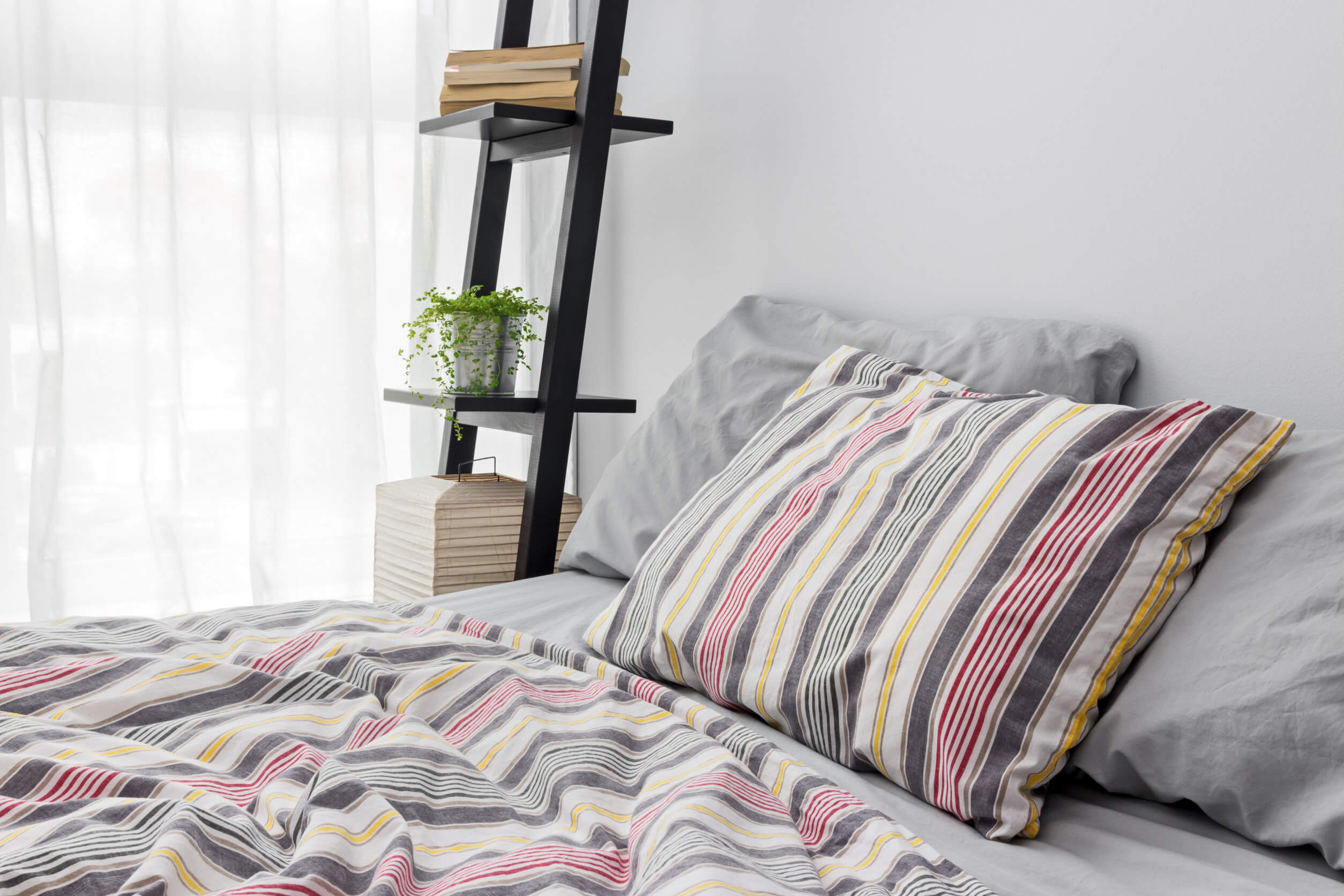 Las mejores plantas para poner en el dormitorio