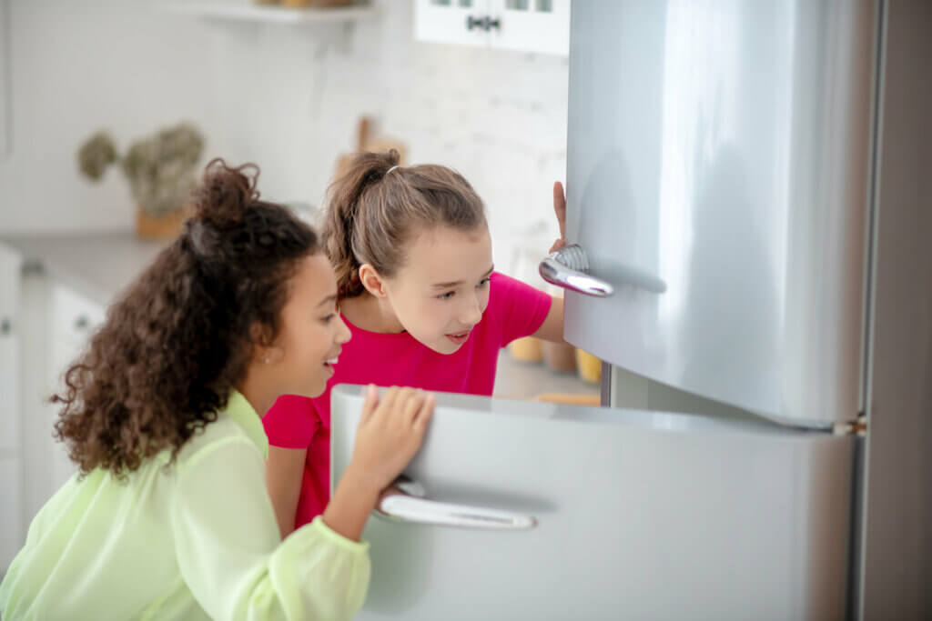 La cocina está entre los lugares más sucios del hogar