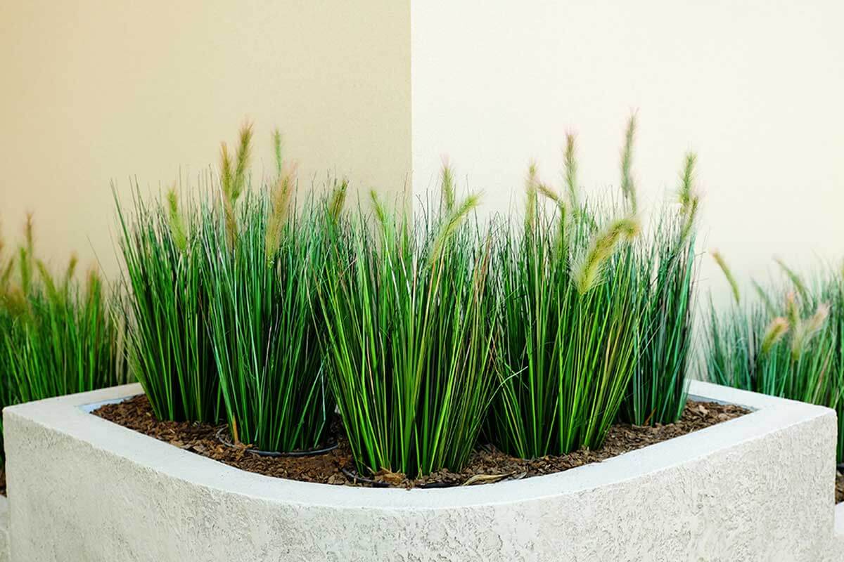 It is used to decorate the garden.