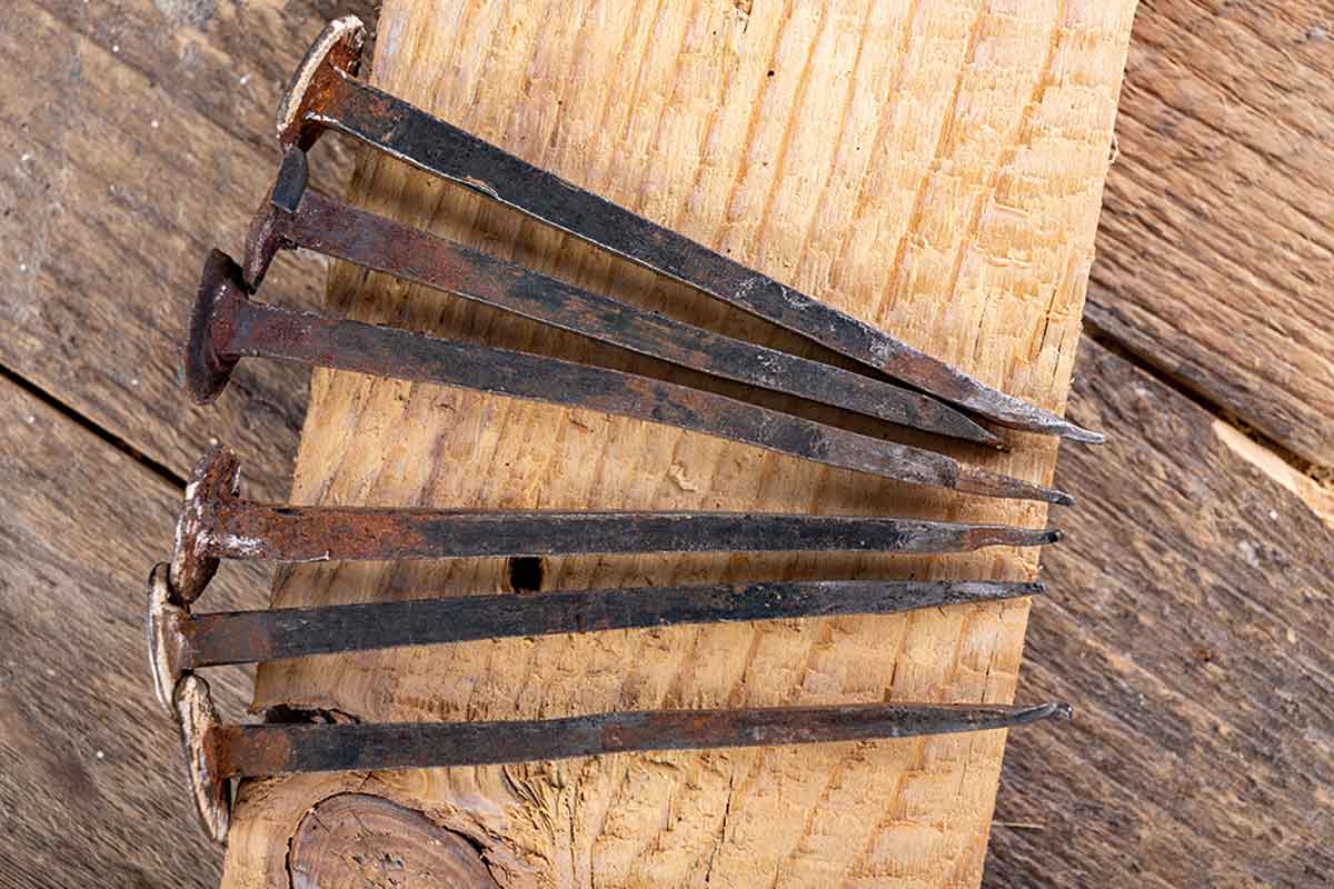 Homemade fertilizer with rusty nails.