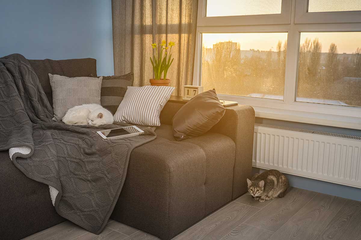 Curtains in earth tones.