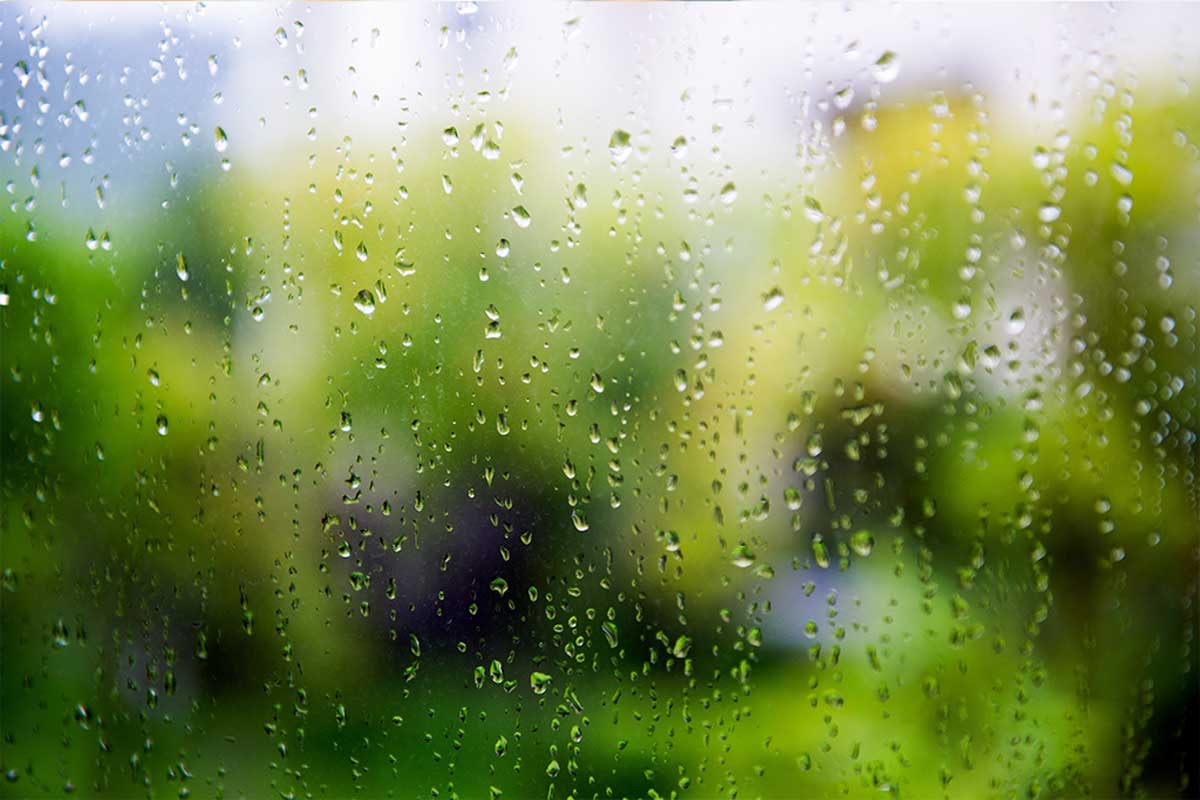 Gotas de agua en las ventanas.