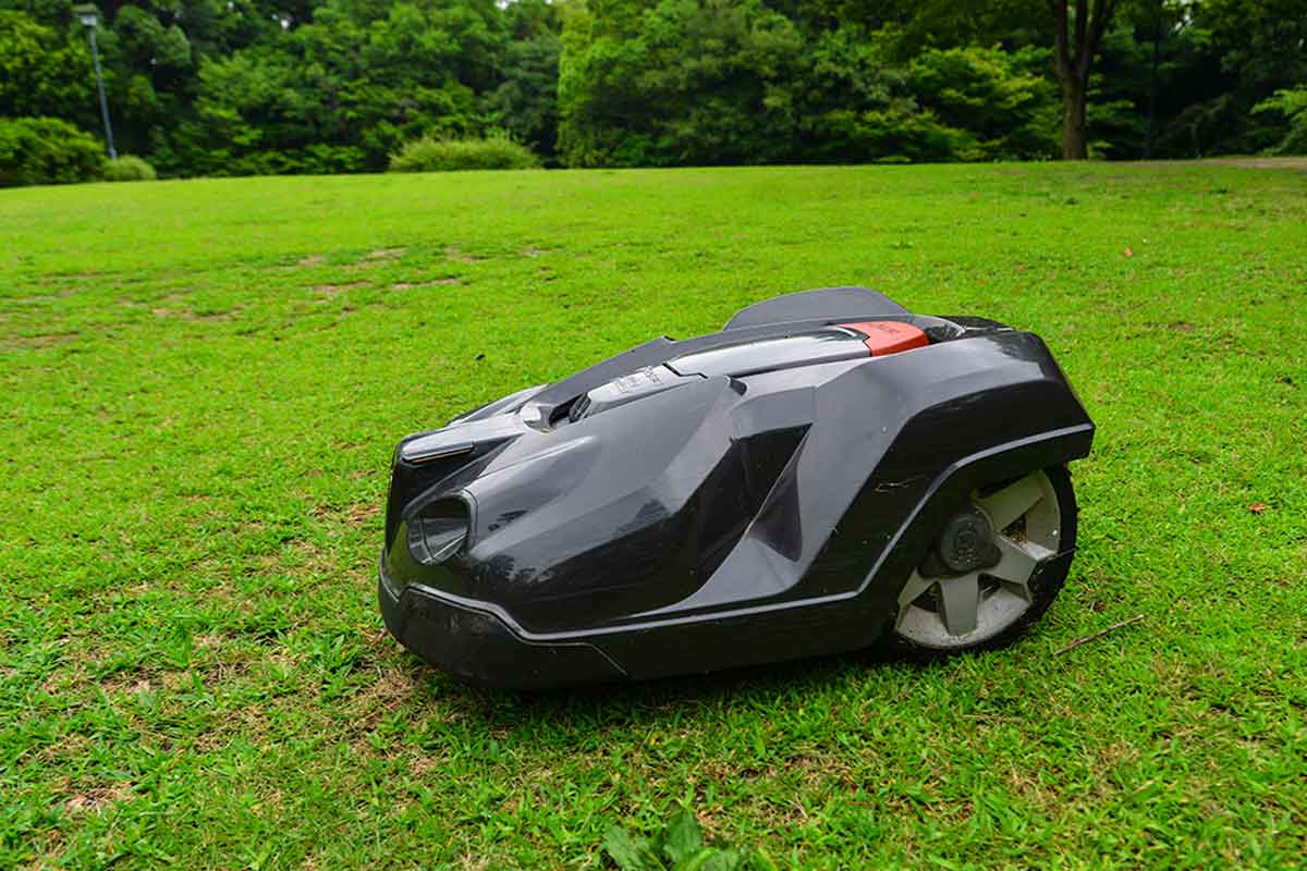 Máquina para cortar la yerba.