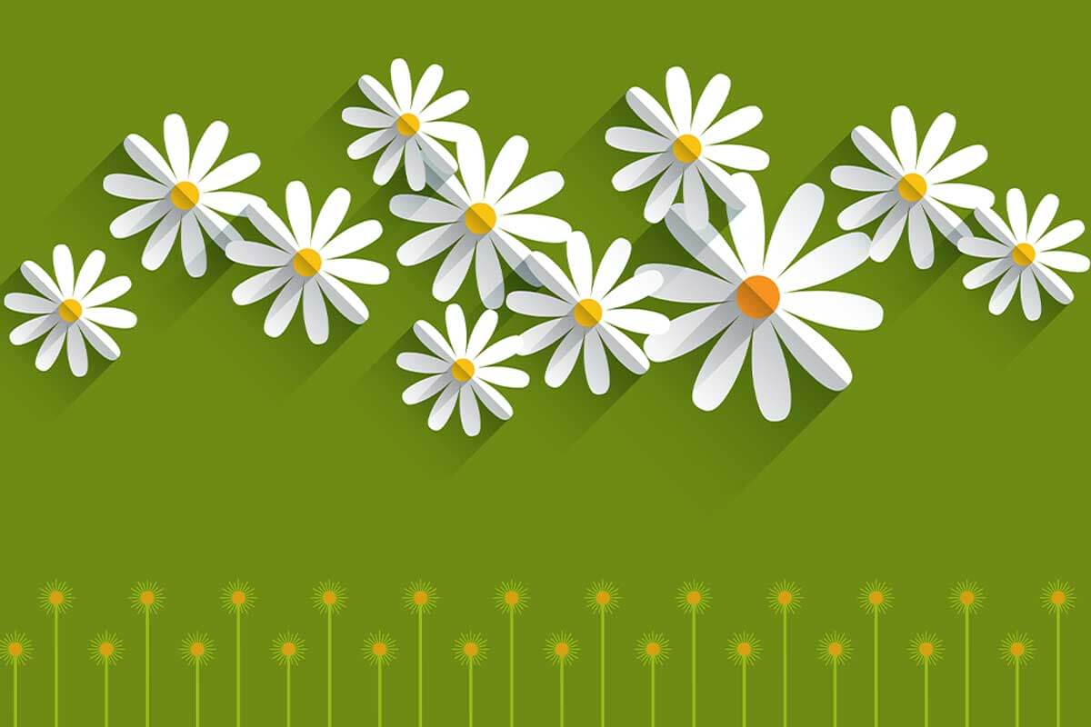 Papieren madeliefjes.