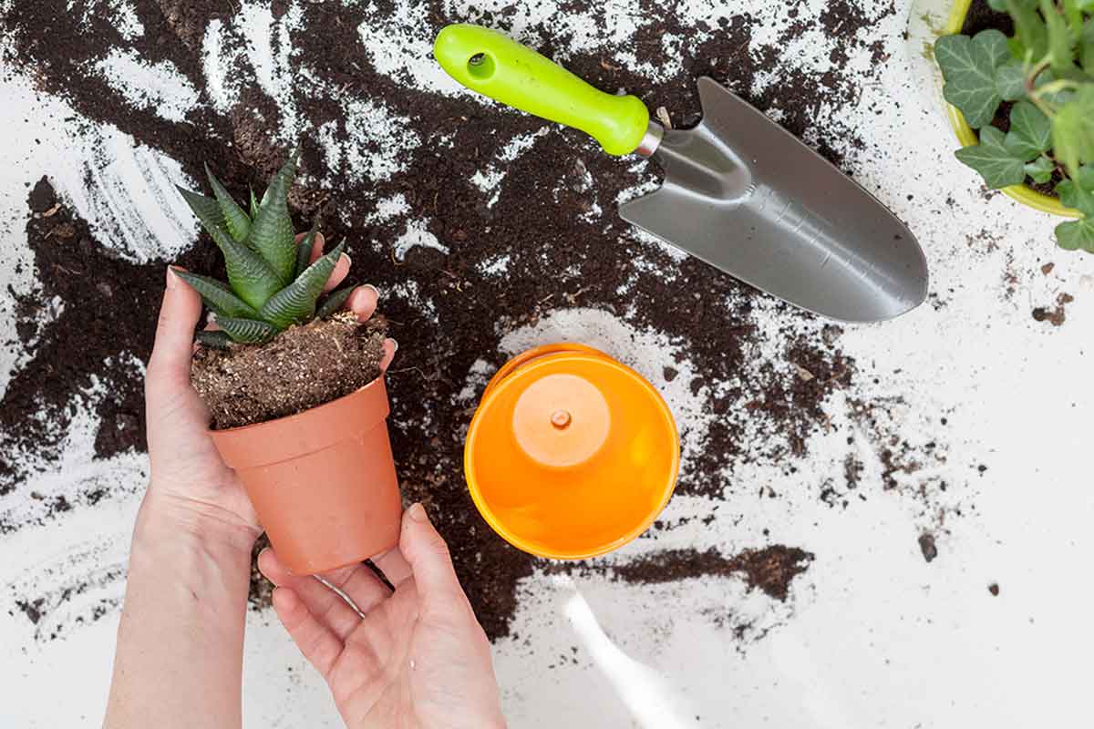 Gereedschap om te tuinieren