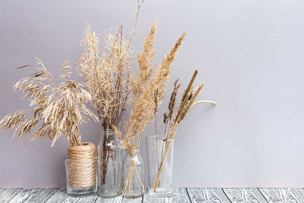 Decorate with the wild flowers you find in your garden or in the city.