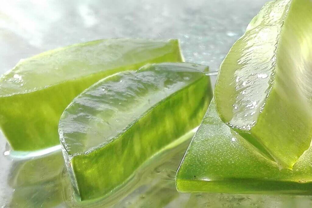 The most used part of this plant is the glass.