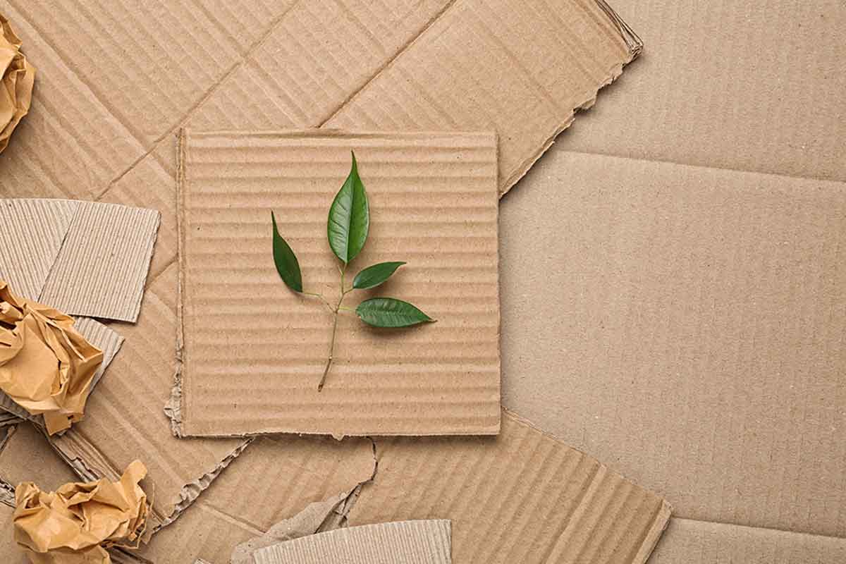 Trends in decoration for the living room in 2022 natural materials