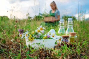 Plantas medicinales para cultivar en casa