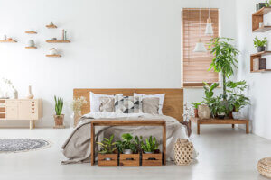 Decorar con plantas el dormitorio es así de sencillo