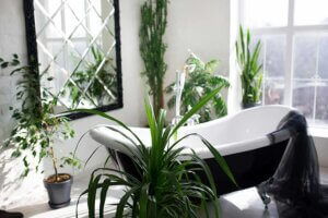 Baño natural, así puedes tener el tuyo
