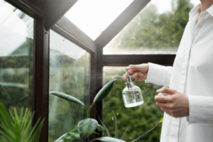 5 tips para ahorrar agua en tu jardín