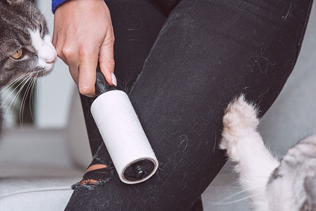 Trucos para eliminar los pelos de tu ropa